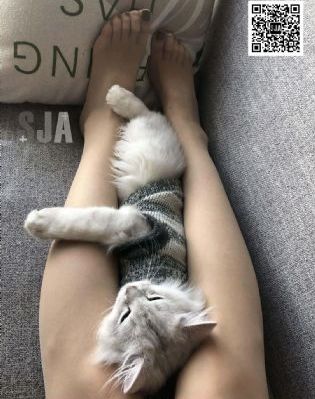 《晚秋》